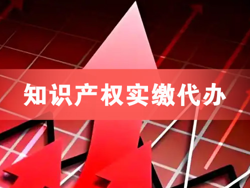 攀枝花知识产权实缴资本代办